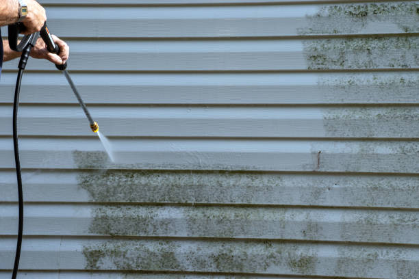 Affordable Siding Repair and Maintenance Services in Hendersonville, TN